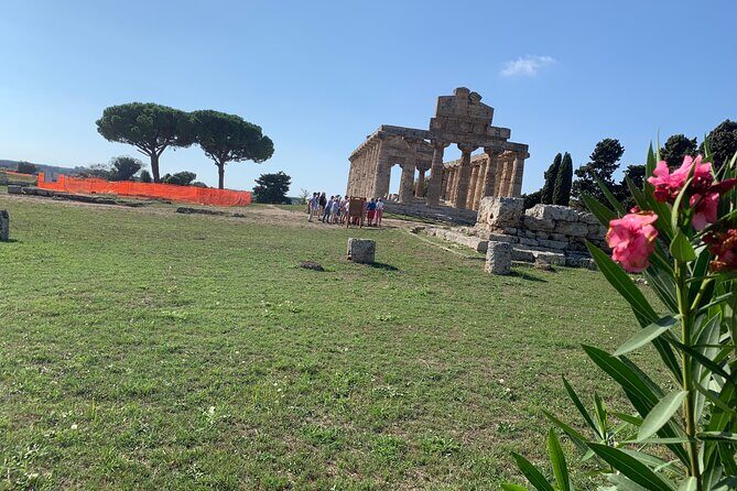 Paestum Private Tour from Naples - Key Points
