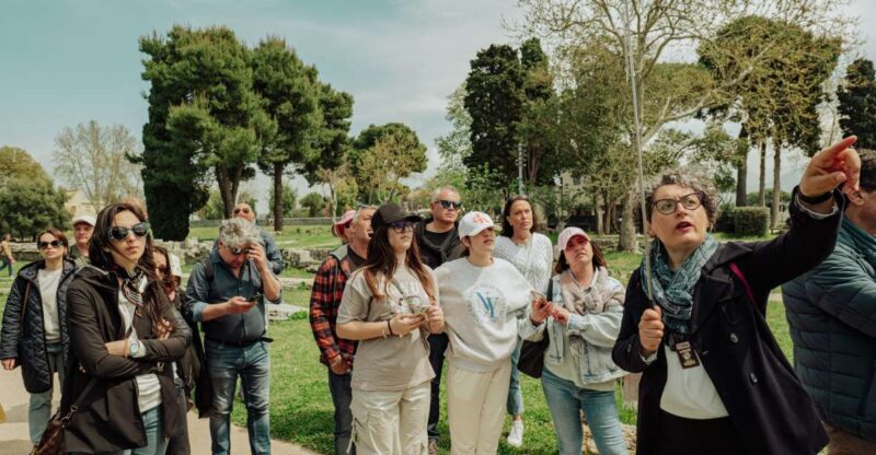 Paestum: Small-Group Tour with an Archaeologist and Tickets - Why This Tour Is a Great Choice