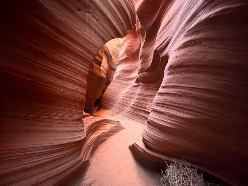 Page: Traditional Navajo Hogan Stay & Antelope Canyon Tour - What Travelers Say