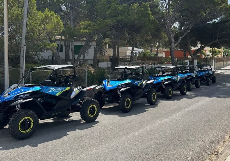 Paguera: 2 Hour Buggy Tour - A Detailed Look at the Paguera Buggy Tour