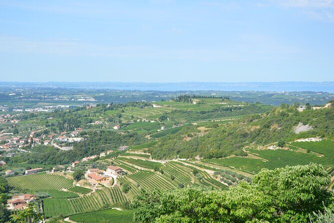 Pagus Wine Tours® - A taste of Amarone - Half day wine tour - A Deep Dive into the Experience