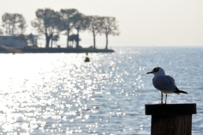 Pagus Wine Tours® - Sirmione by boat and Amarone - Full day tour - Exploring the Full-Day in Verona’s Countryside