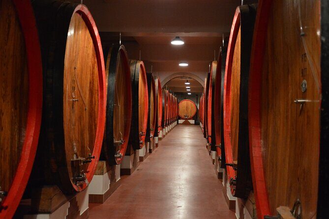 Pagus Wine Tours® - Soave and Amarone - Half day wine tour - Who Would Love This Tour?