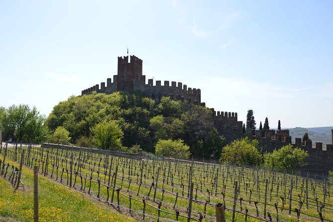 Pagus Wine Tours® - Soave and Amarone - Half day wine tour - FAQ