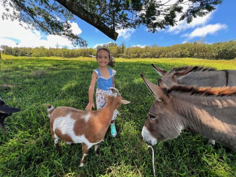 Pahoa: Ranch Tour with Animal Feedings and Interactions - Pahoa: Ranch Tour with Animal Feedings and Interactions — A Hands-On Farm Experience