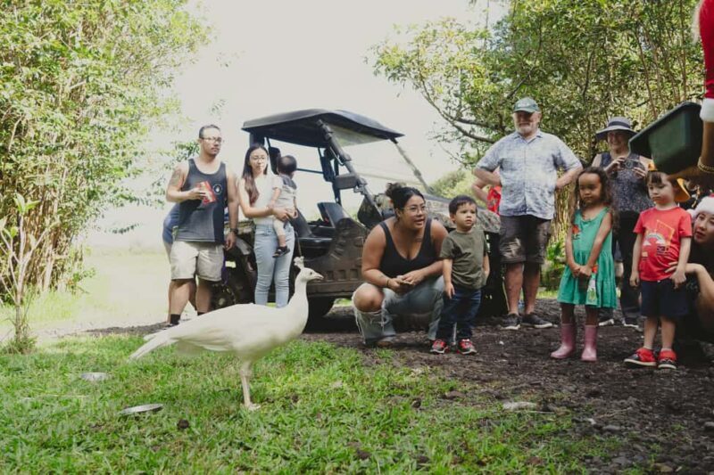 Pahoa: Ranch Tour with Animal Feedings and Interactions - Exploring Pahoa’s Ranch Tour: A Genuine Slice of Hawaiian Farm Life