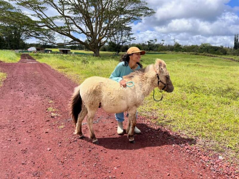 Pahoa: Ranch Tour with Animal Feedings and Interactions - Final Thoughts