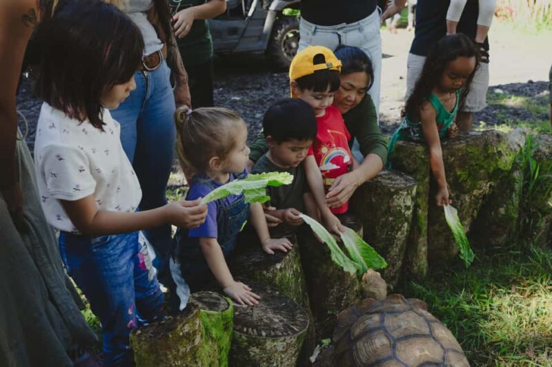 Pahoa: Ranch Tour with Animal Feedings and Interactions - FAQs