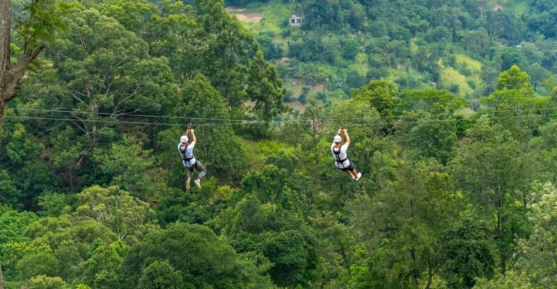 Pai: Jungle Ziplining Adventure with 16 Platforms - Who Should Consider This Adventure?