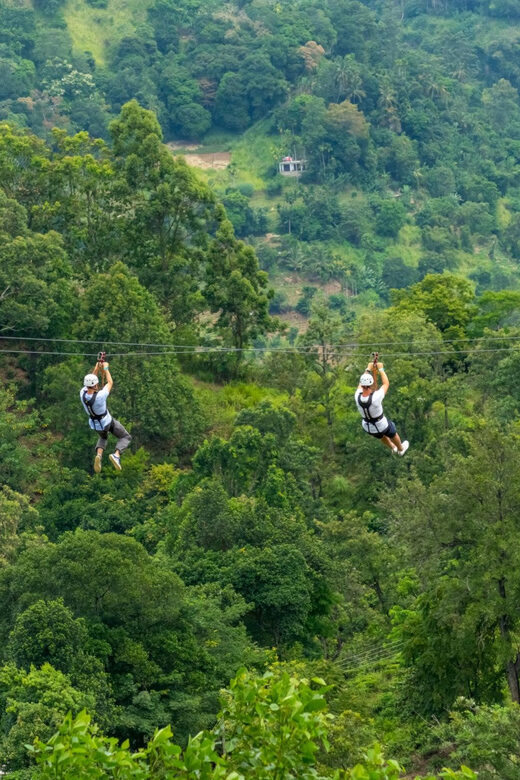 Pai: Ultimate Ziplining Adventure through the Jungle - Key Points