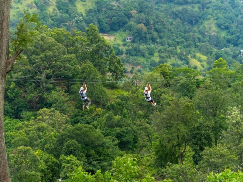 Pai: Ultimate Ziplining Adventure through the Jungle - Frequently Asked Questions