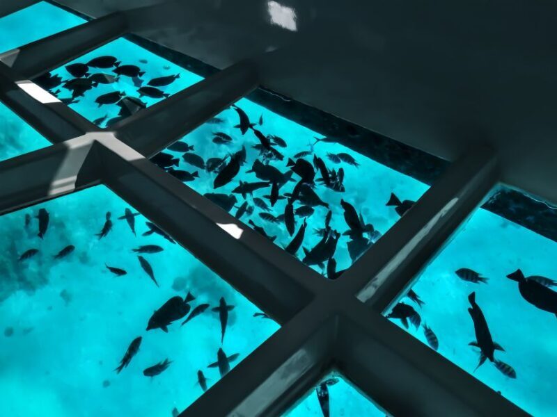 Paihia: Glass Bottom Boat Tour to the Hole in the Rock - Paihia: Glass Bottom Boat Tour to the Hole in the Rock