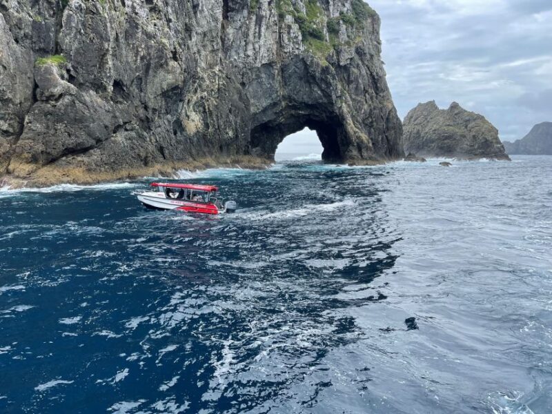Paihia: Glass Bottom Boat Tour to the Hole in the Rock - Why This Tour Is Worth Considering