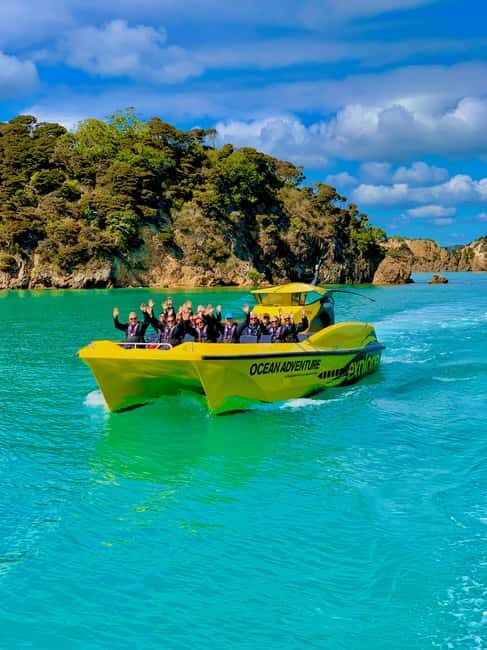Paihia: Hole in the Rock Fast Boat Ocean Adventure - Wildlife Encounters