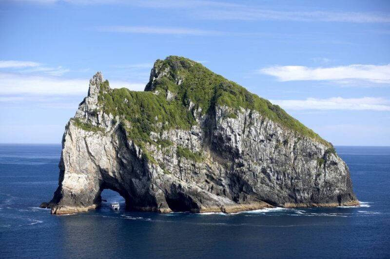 Paihia/Russell: Hole in the Rock and Bay of Islands Cruise - Key Points