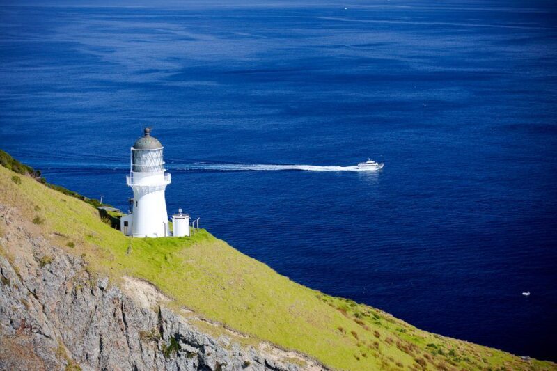 Paihia/Russell: Hole in the Rock and Bay of Islands Cruise - A Detailed Look at the Tour Experience