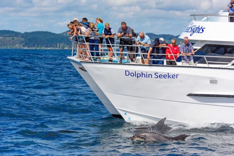 Paihia/Russell: Hole in the Rock and Bay of Islands Cruise - Final Thoughts