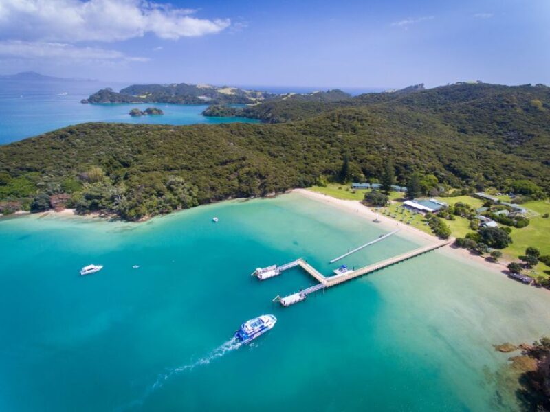 Paihia/Russell: Hole in the Rock and Bay of Islands Cruise - FAQ