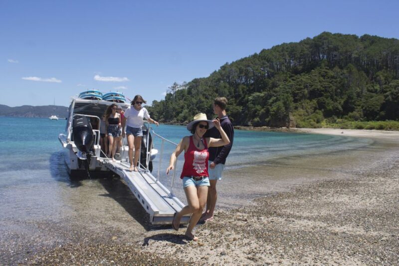 Paihia/Russell: Hole in the Rock Cruise with 2 Island Stops - Who Should Consider This Tour?