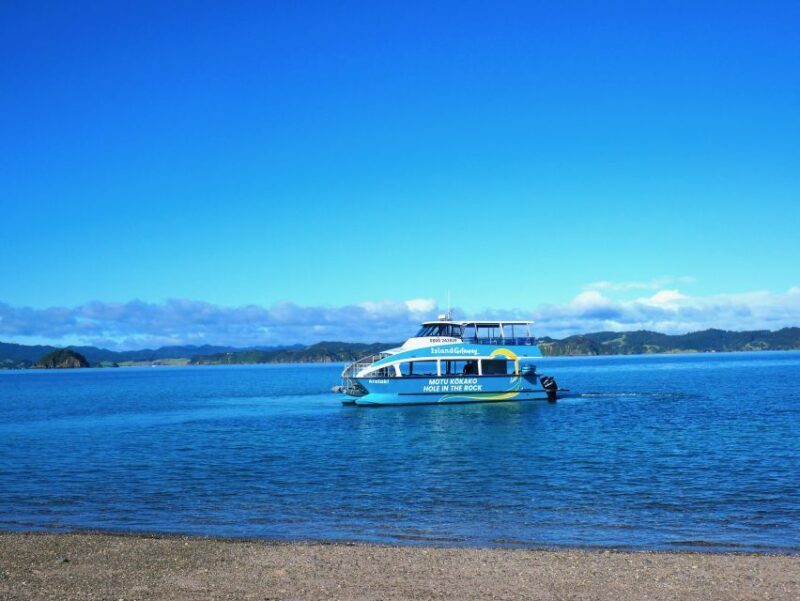 Paihia/Russell: Hole in the Rock Cruise with 2 Island Stops - Frequently Asked Questions