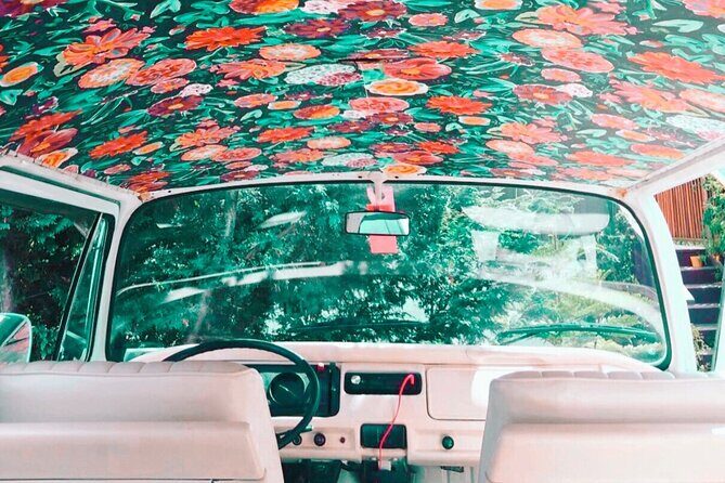 Painted Ladies Private San Francisco Tour - Comfort, Convenience, and Practical Tips