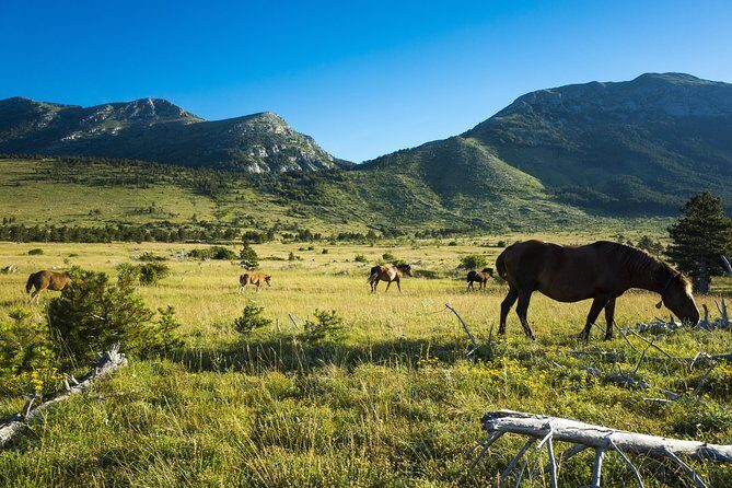 Paklenica National Park Admission Ticket - An In-Depth Look at the Experience
