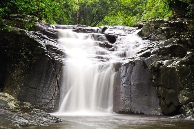 Pala U Waterfall in Kaeng Krachan Jungle with Private Guide from Hua Hin - Key Points