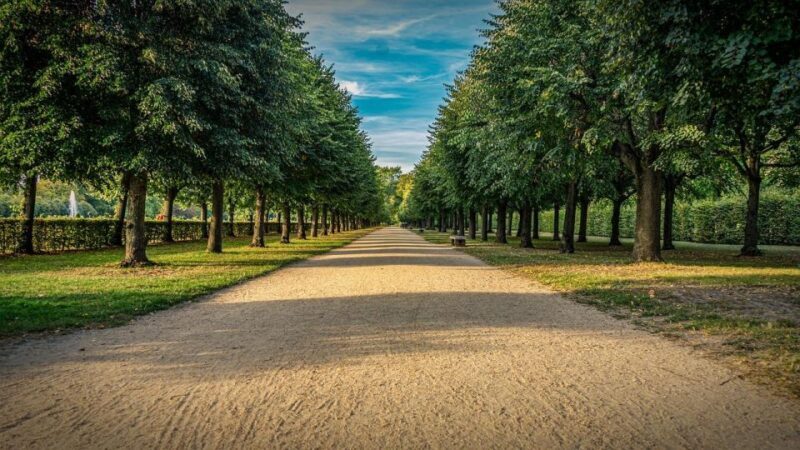 Palace of Queen Elisabeth Tour - In-Depth Review of the Palace of Queen Elisabeth Tour