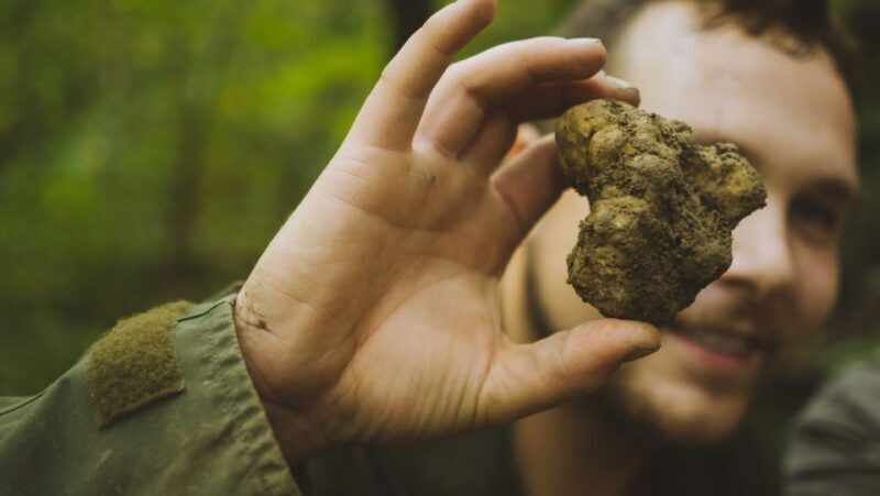 Paladini: Truffle Hunting Tour with 3-Course Tasting Menu - Exploring the Experience in detail