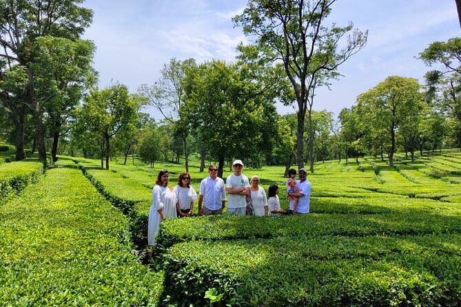Palampur Tea Garden Tour - Key Points