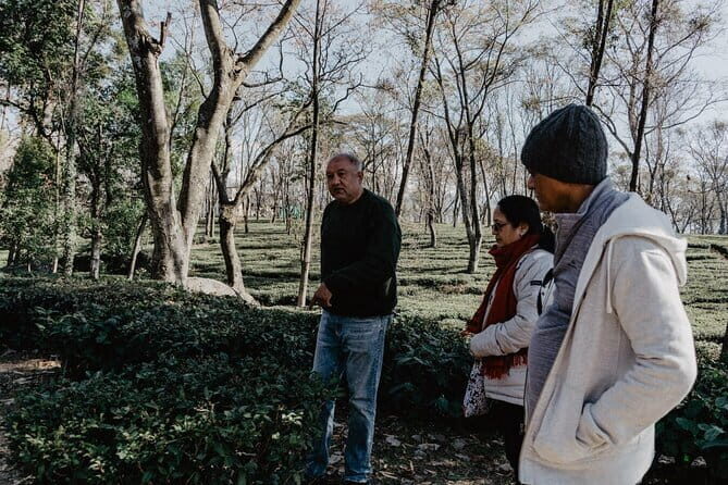 Palampur's Guided Day Tour: Discover the Tea Capital. - FAQ