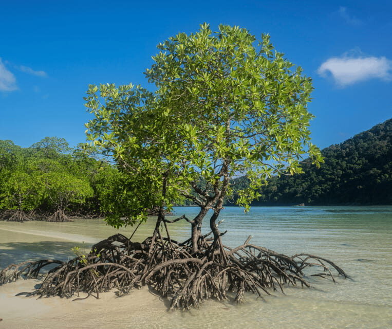 PALAWAN: El Nido Fishing Tour with Local Fishermen PRIVATE - Discover the Authentic Charm of El Nido’s Fishing Culture