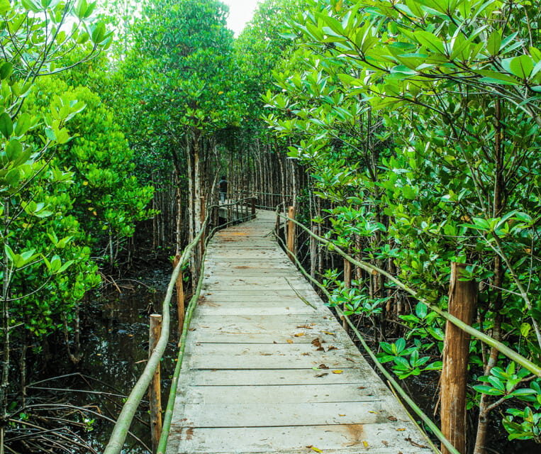 PALAWAN: El Nido Fishing Tour with Local Fishermen PRIVATE - Key Points