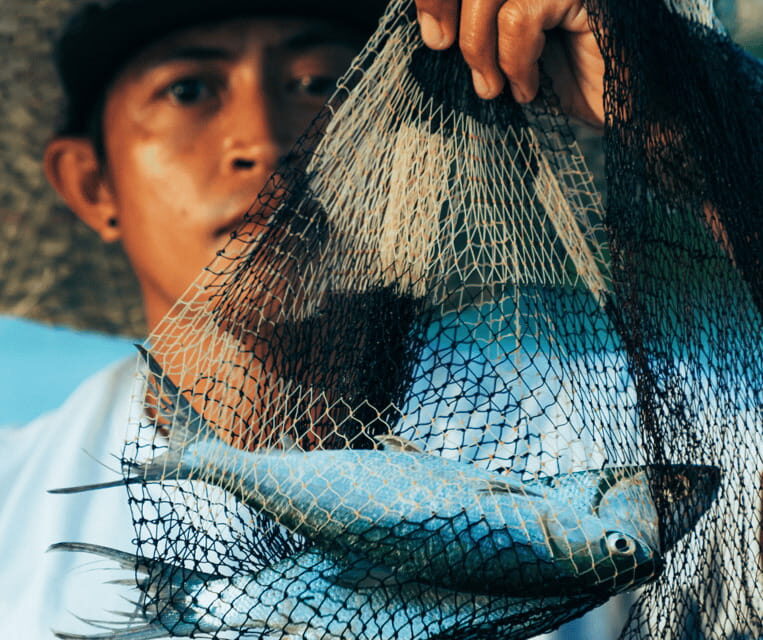 PALAWAN: El Nido Fishing Tour with Local Fishermen PRIVATE - What’s Included and What to Consider