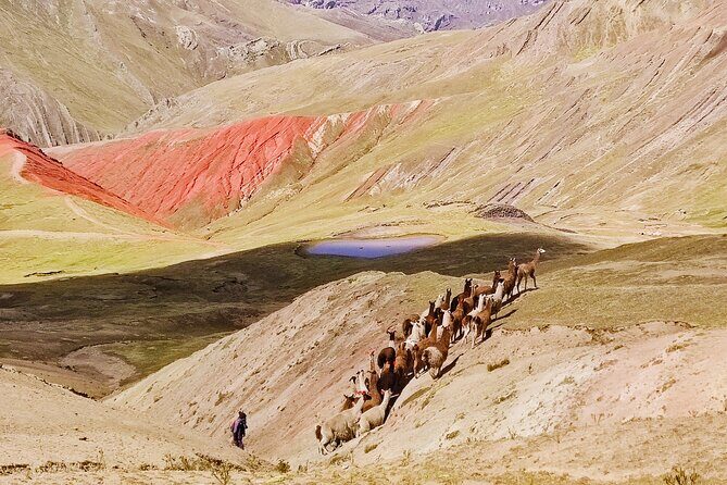 Palccoyo Rainbow Mountains Full Day Tour from Cusco - Final Thoughts: Is This Tour Right for You?