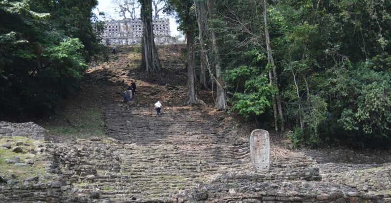 Palenque: 2-Day Lacandon Jungle, Yaxchilan, & Bonampak Trip - An In-Depth Look at the 2-Day Lacandon Jungle, Yaxchilan & Bonampak Tour