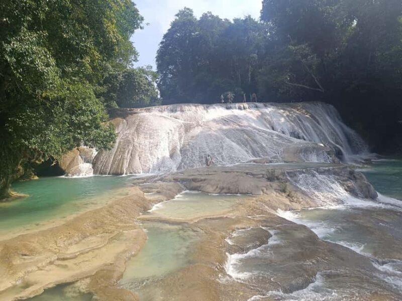 Palenque Archeological zone and Roberto Barrios Waterfalls - Palenque Archeological zone and Roberto Barrios Waterfalls: A Guide to an Unforgettable Day