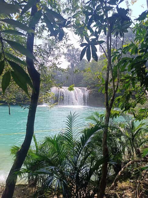 Palenque Archeological zone and Roberto Barrios Waterfalls - Transition to Roberto Barrios Waterfalls