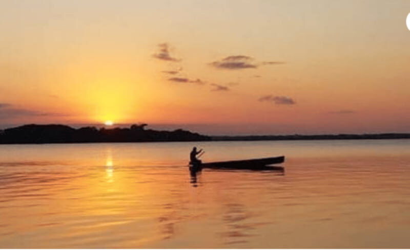 Palenque: Catazajá Lagoon Wildlife Adventure - Final Thoughts