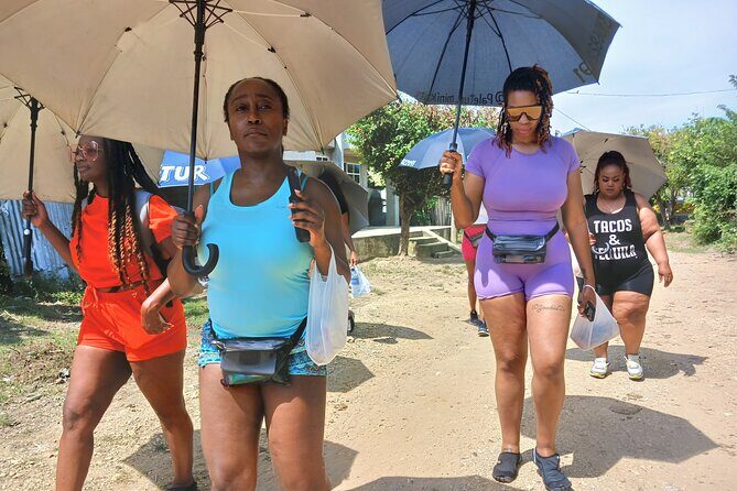 PALENQUE - Historical and Cultural Tour with African Natives - Who Should Consider This Tour?