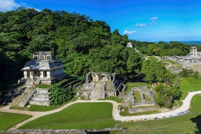 Palenque Maya ruins, guided tour from Palenque - Exploring the Palenque Ruins and What to Expect