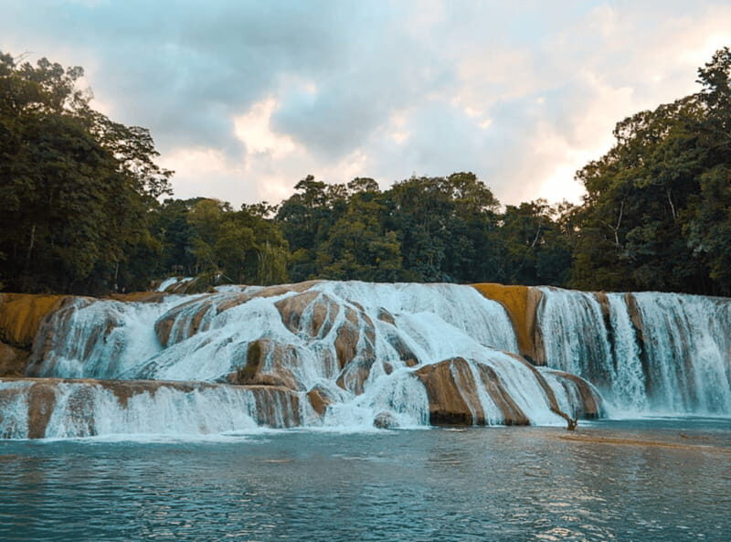 Palenque: Roberto Barrios Waterfall Tour - Why choose this tour?