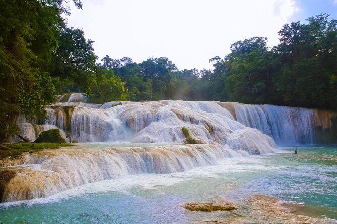 PALENQUE RUINS, AGUA AZUL and MISOL-HA (Private) - Who Should Book This Tour?