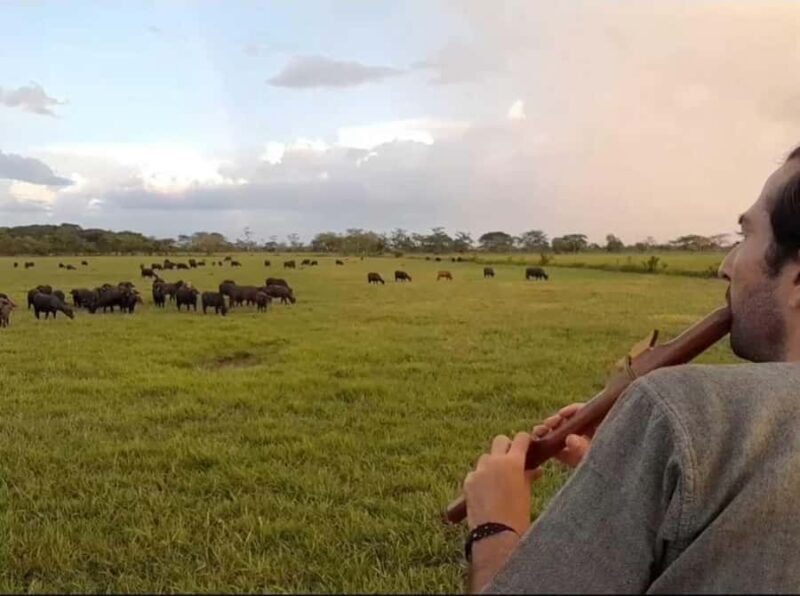 Palenque: waterfalls, buffalo, & birdwatching, a soulful immersion - A Closer Look at the Experience