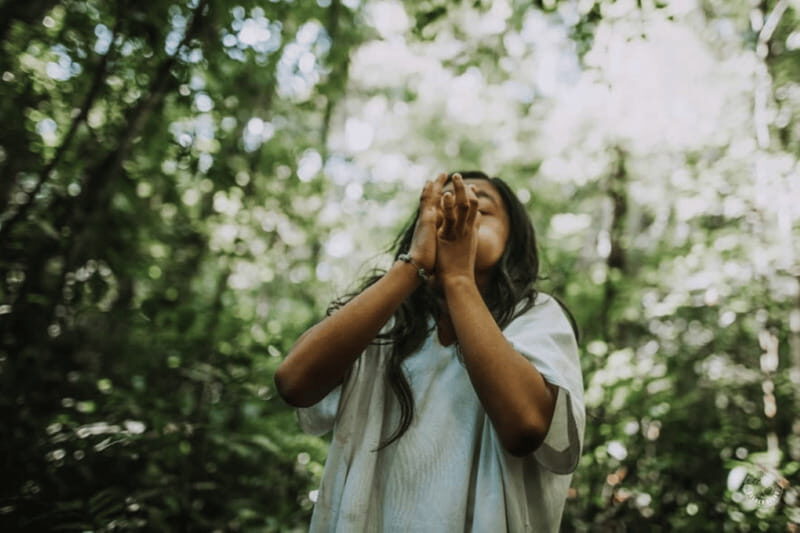 Palenque: Yaxchilan, Bonampak and Lacanja Jungle Adventure - An In-Depth Look at the Palenque: Yaxchilan, Bonampak, and Lacanja Jungle Adventure