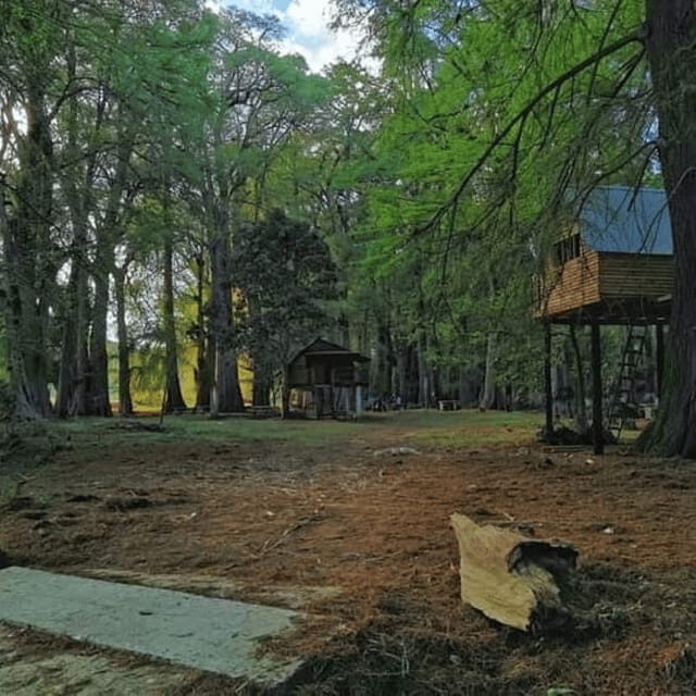 Palenque: Yaxchilan, Bonampak and Lacanja Jungle Adventure - Final Thoughts