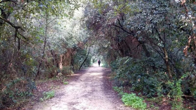 Palermo: Day trip to Monte Pellegrino - Final Thoughts: Who Should Book This Tour?