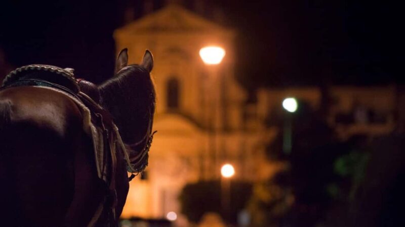 Palermo's Dark Shades: Ghost, Crime and Tasting Walking Tour - FAQ
