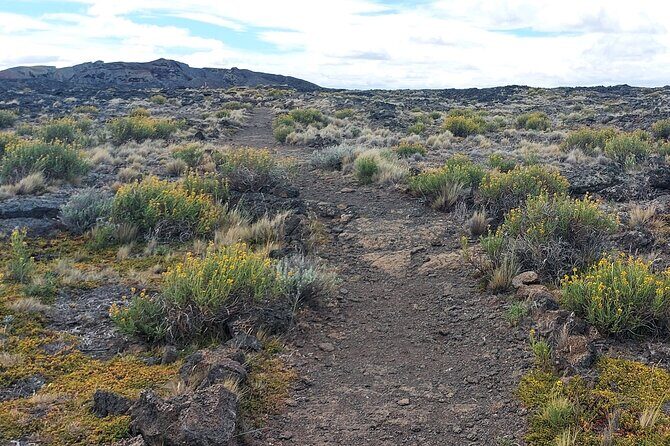 Pali Aike Full-Day Adventure from Punta Arenas - What You Need to Know About the Pali Aike Full-Day Adventure from Punta Arenas