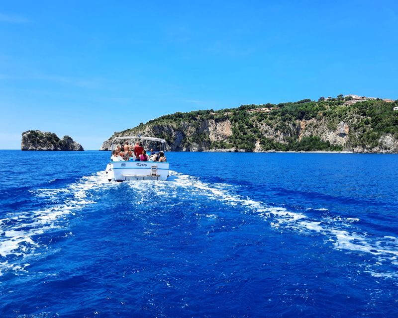 Palinuro: Boat Trip along the Coast & Blue Grotto Visit - Key Points